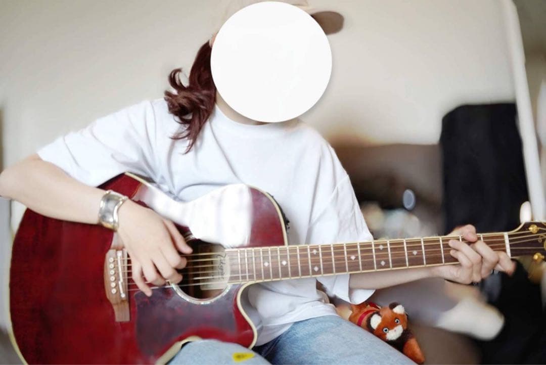 美品 Takamine DMP551C アコースティックギター 生産完了品