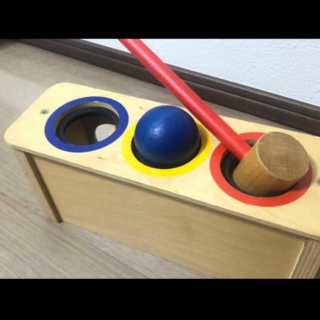 木製玩具　ボーネルンド　カラー積み木　8点セット　おさかな