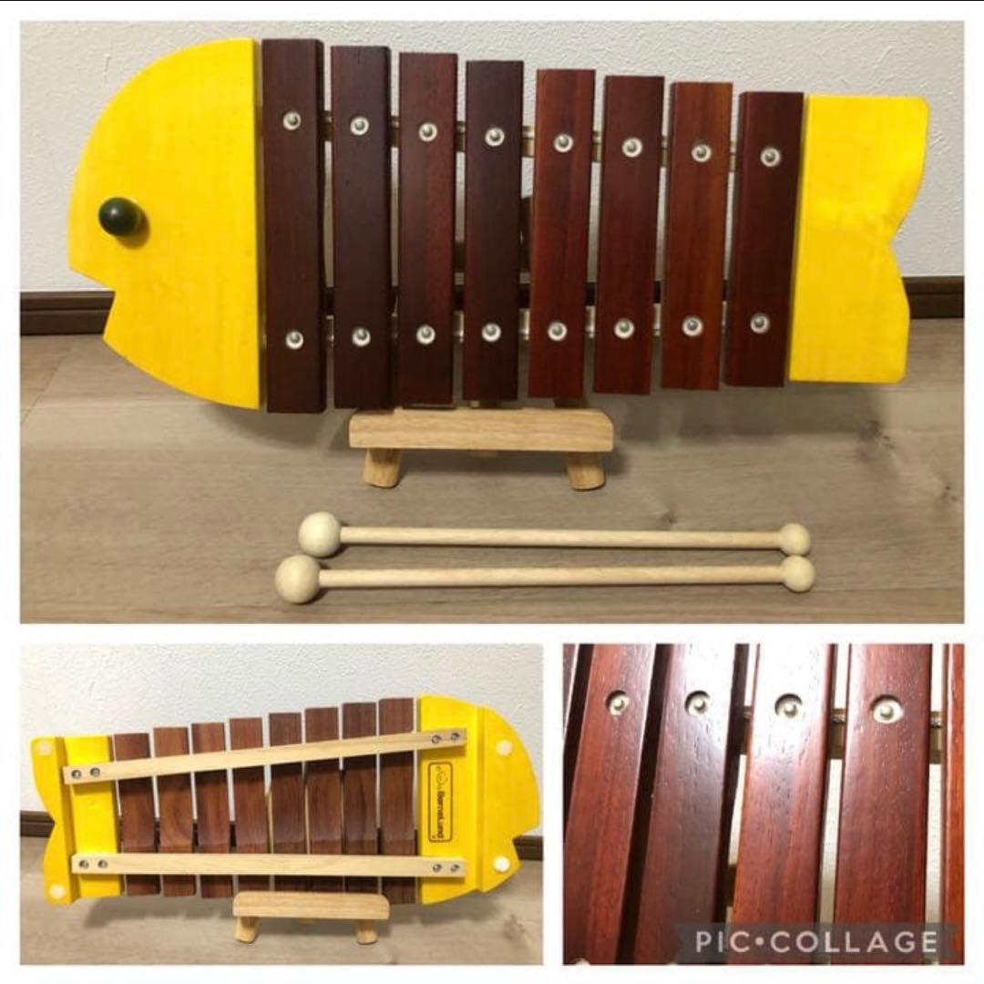 木製玩具　ボーネルンド　カラー積み木　8点セット　おさかな