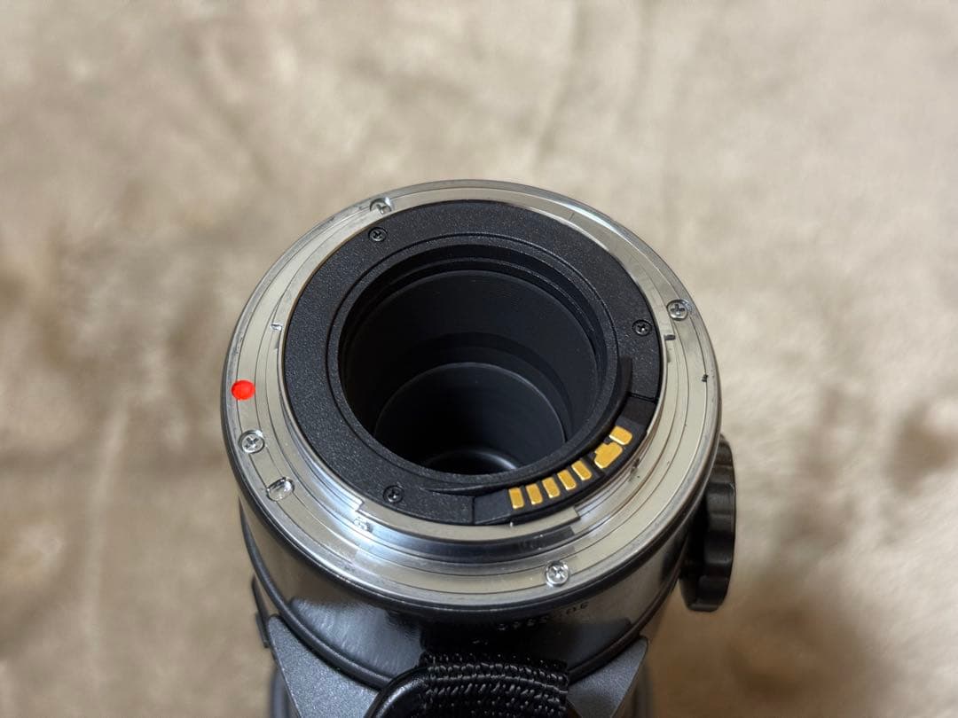 極上美品 シグマ SIGMA AF 400mm F5.6 TELE キャノン用