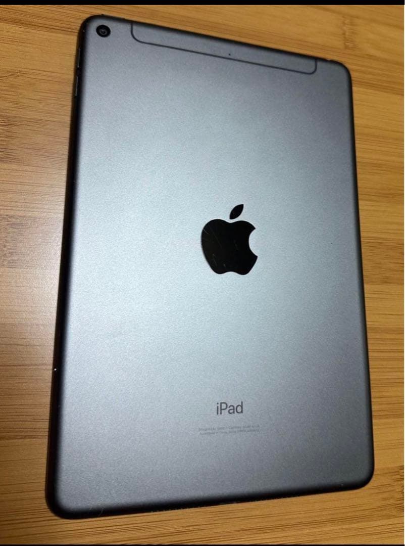 iPad本体 iPad mini5 256GB Cellular