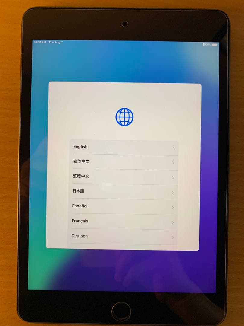 iPad本体 iPad mini5 256GB Cellular