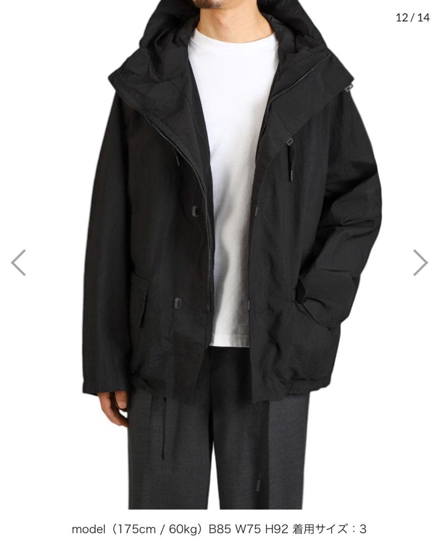 TEATORA Souvenir Hunter S/L P 補修済み