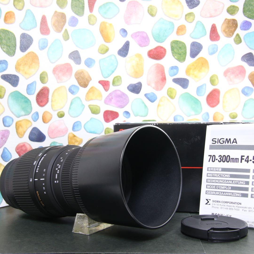 ♥︎◇美品 ◇SIGMA 70-300mm DG MACRO SONY