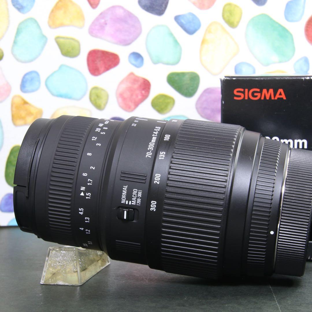♥︎◇美品 ◇SIGMA 70-300mm DG MACRO SONY