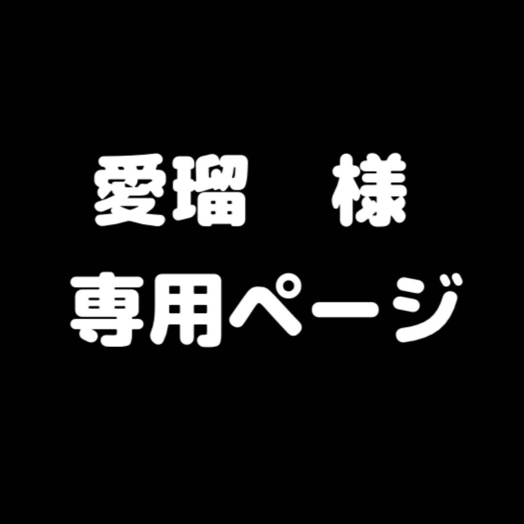 専用ページ