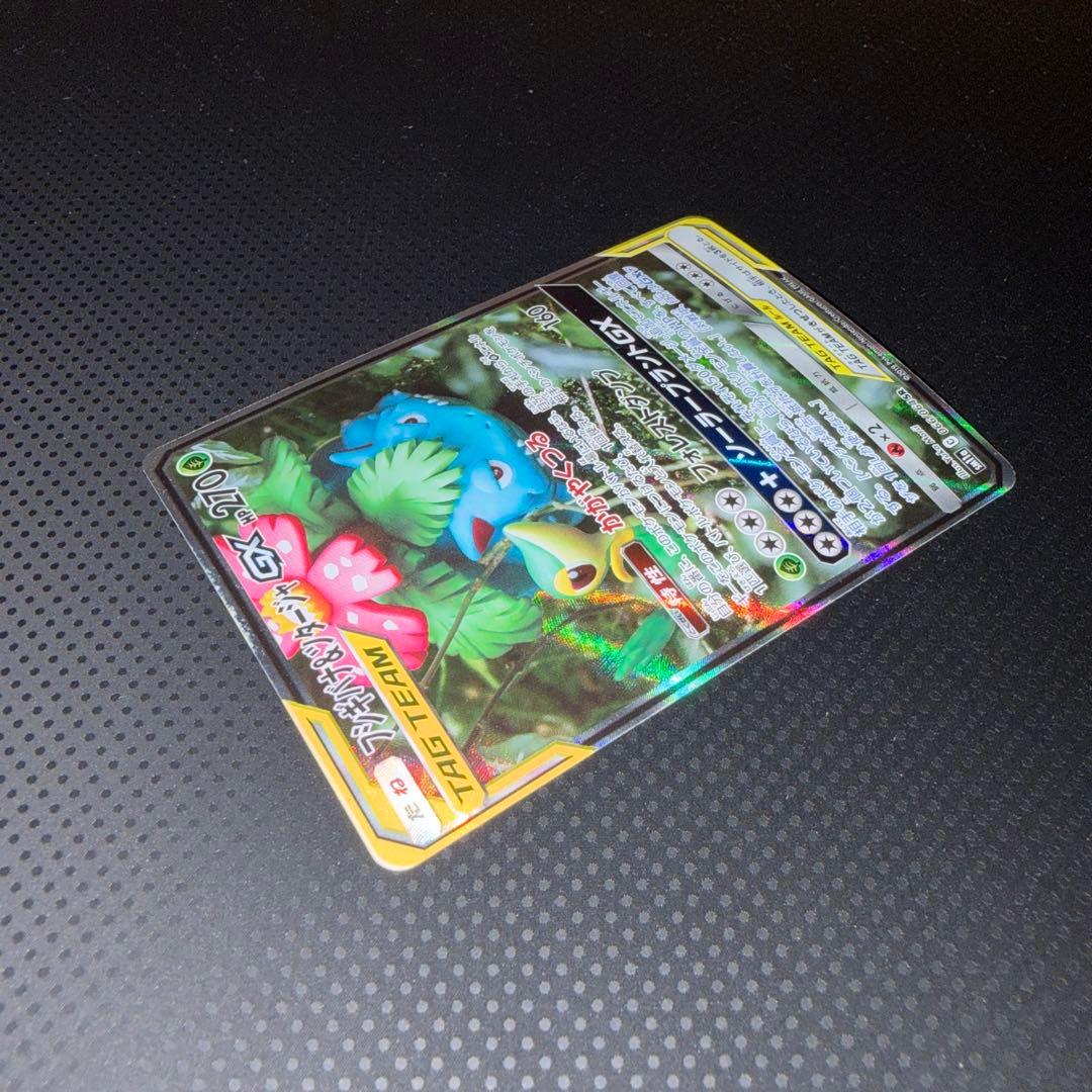 美品 フシギバナ＆ツタージャGX かがやくつる SR SA