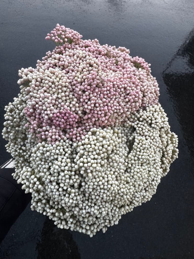 100様 リクエスト 7点 まとめ商品