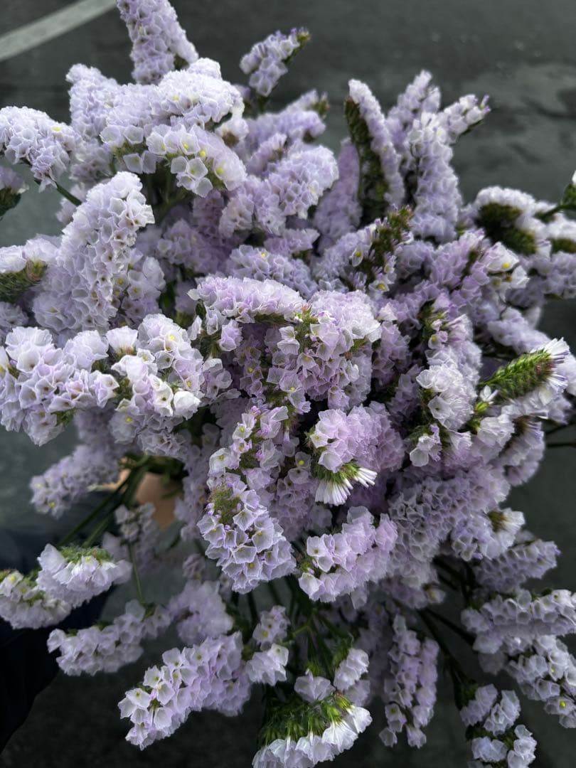 100様 リクエスト 7点 まとめ商品