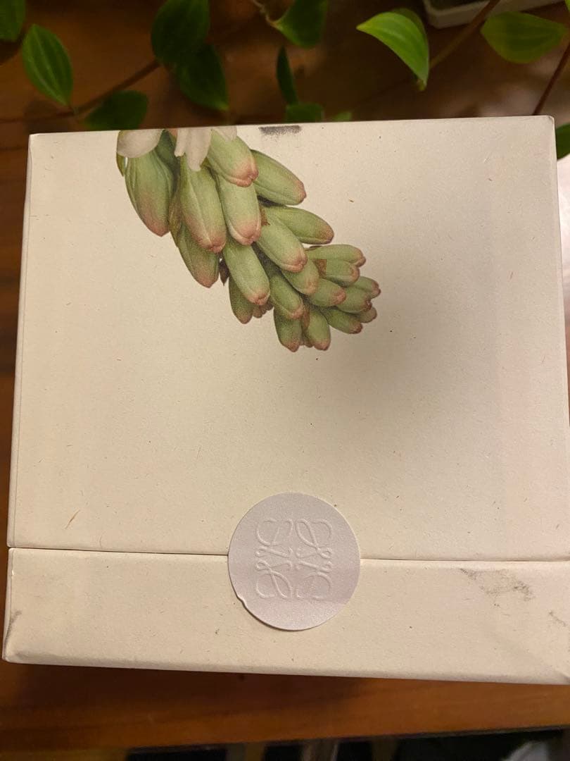 【新品未使用】LEWE ロエベフレグランスキャンドル　チューべローズS 170g