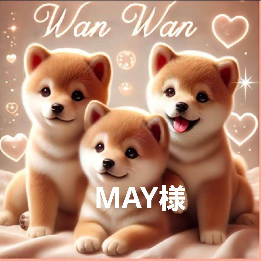 その他 MAY