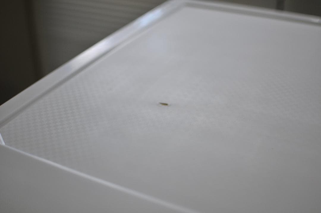 美品アイリスオーヤマ 冷凍庫 85L ホワイト IUSD-9B-W 2023年製