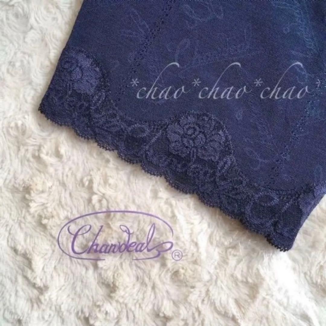 シャンデール ガードルフルロング 64【新品】サファイアブルー 補正下着