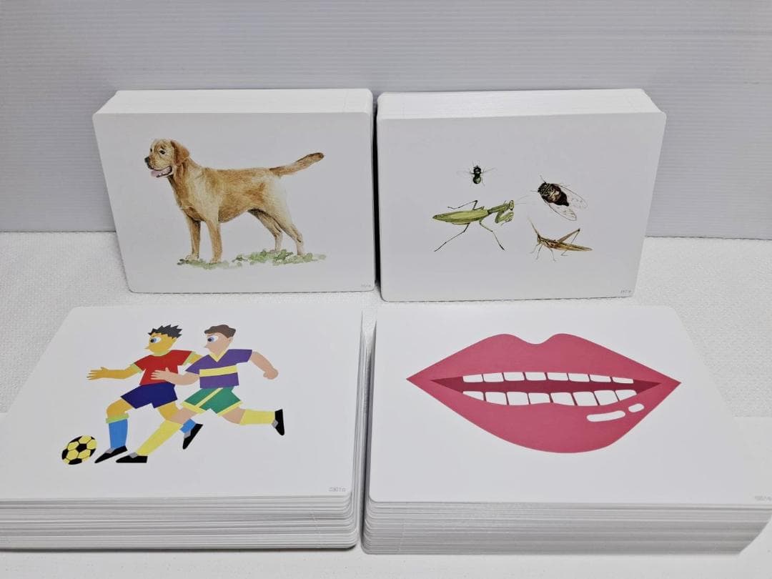 は*こ様 【週末限定5％オフ即購入】七田式 かな絵ちゃん ABセット 英語版 C