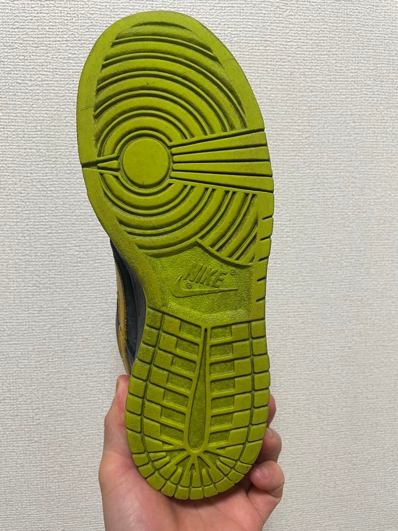 ★ Nike SB Dunk Low Space Tiger ★