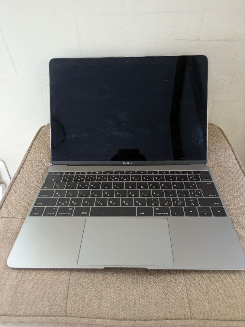 【ジャンク品】Apple MacBook A1534 EMC2746 シルバー