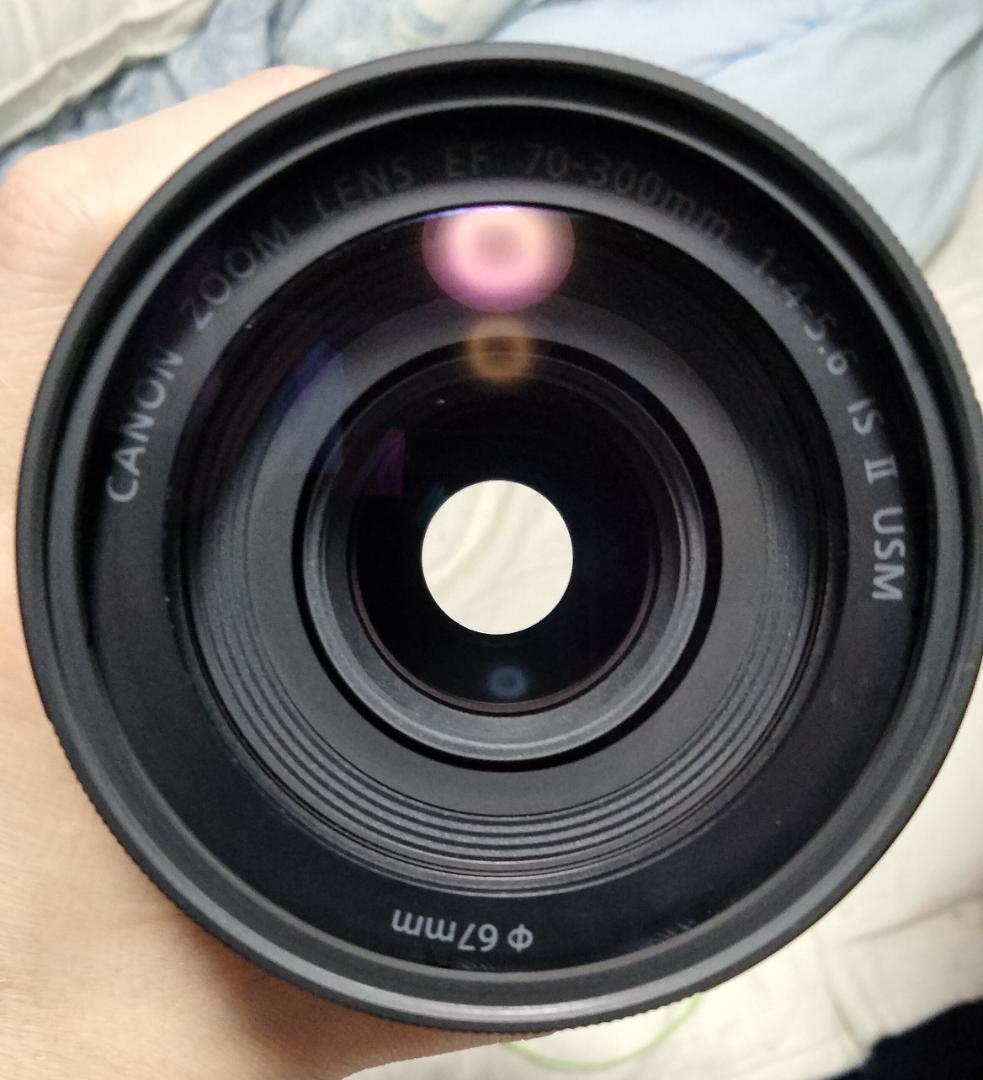 激安 良品 Canon EF70-300mm F4-5.6 IS II USM