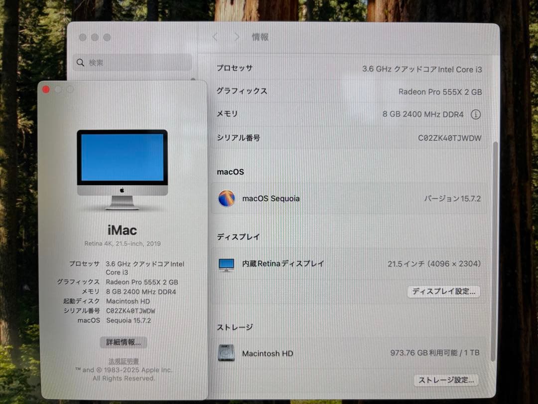 Apple iMac 21.5インチ　4K Retina A2116 2019