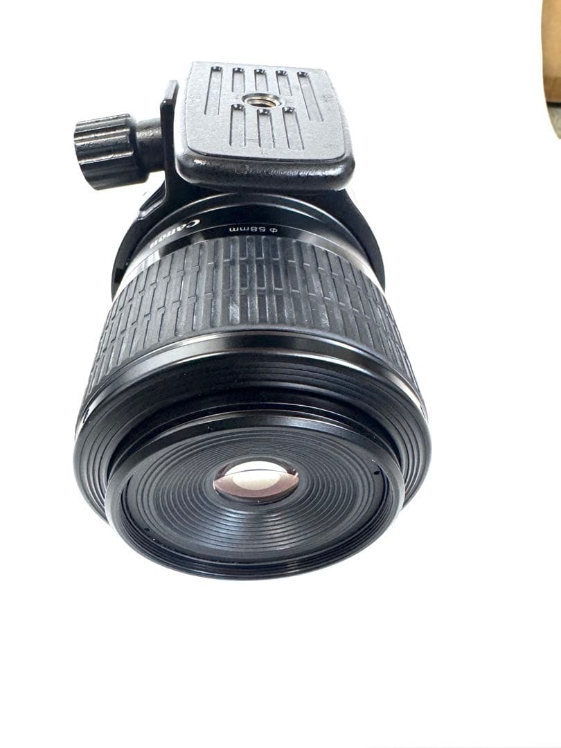 キャノンマクロフォトレンズMP-E65mmF2.8 1-5X