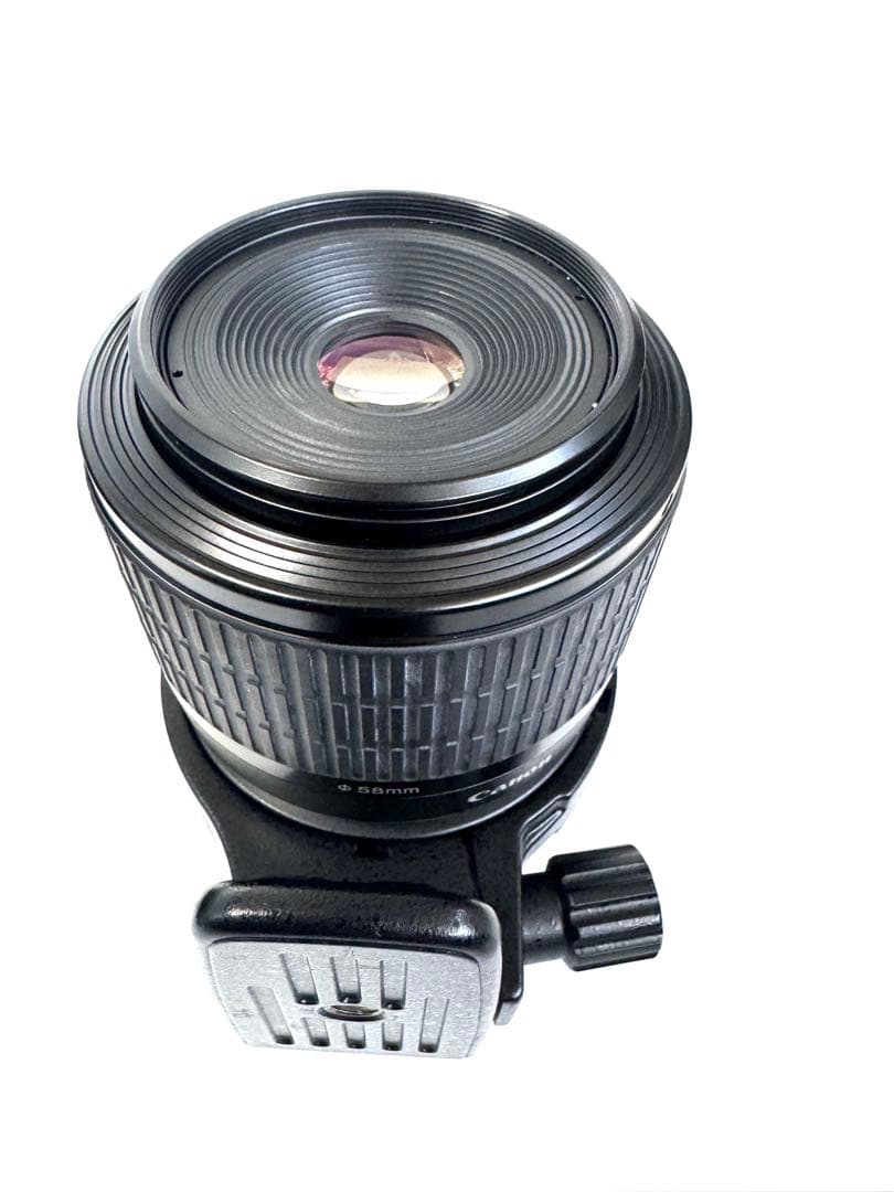 キャノンマクロフォトレンズMP-E65mmF2.8 1-5X