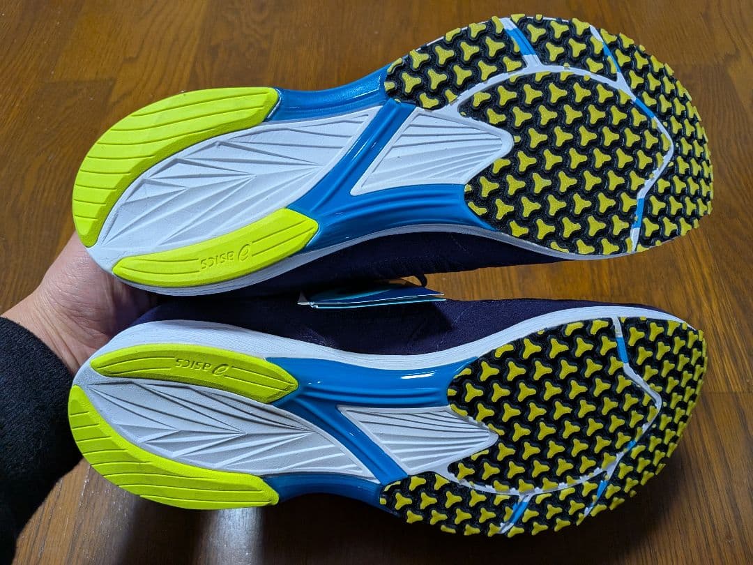 asics アシックス ターサージール６wide　28cm