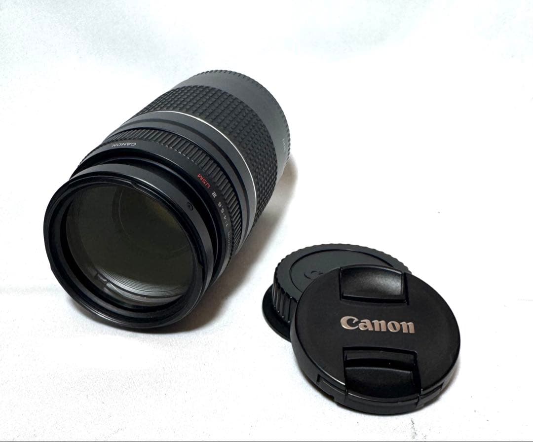 レンズ(ズーム) Canon EF 75-300mm F/4-5.6 III #2078