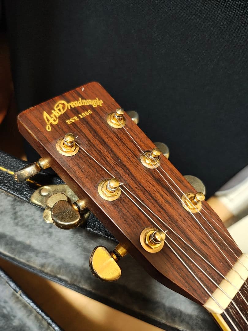 オール単板/Aria AF60/ハードケース