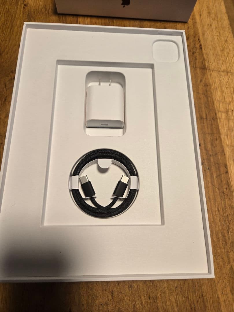 ipad pro 11インチ M4 256GB