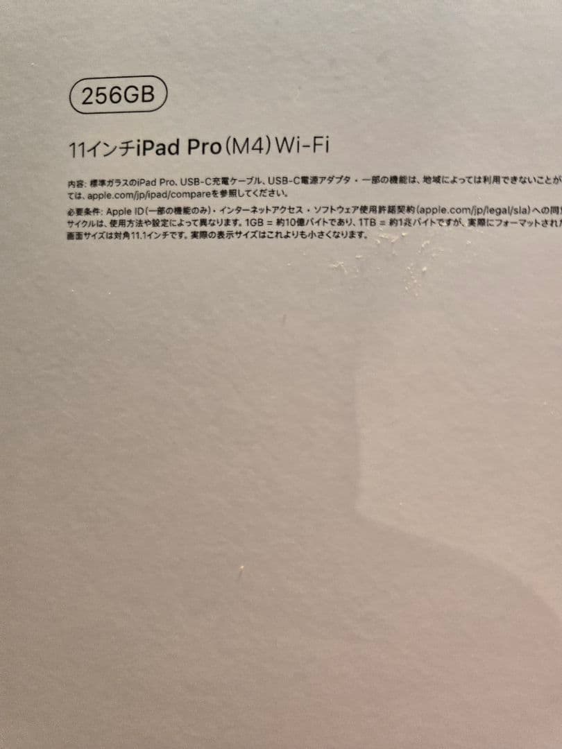 ipad pro 11インチ M4 256GB