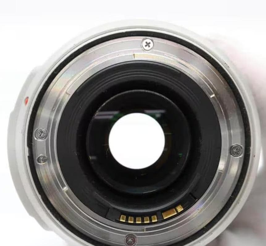 【美品】EFレンズ EF70-300mm F4-5.6L IS USM
