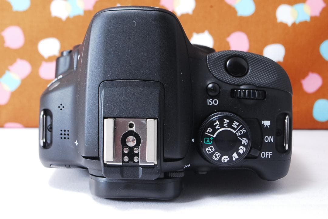 ✨望遠レンズ✨シャッター数2668回✨Canon kiss X7 レンズセット