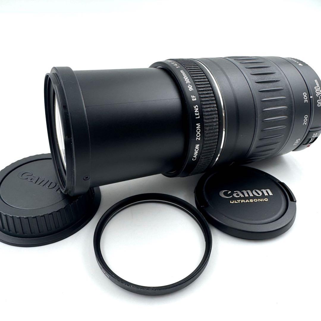 Canon EF 90-300mm F4.5-5.6 USM 超望遠ズームレンズ
