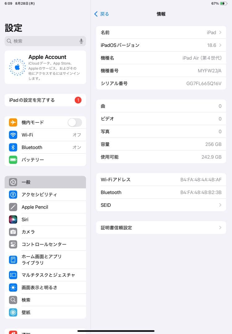 iPad本体 iPad Air 4 256G