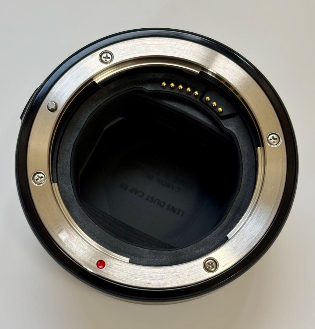 【極美品】CANON Mount Adapter EF-EOS R