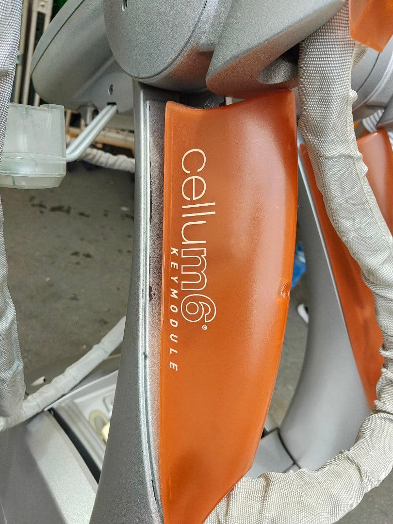 エンダモロジー