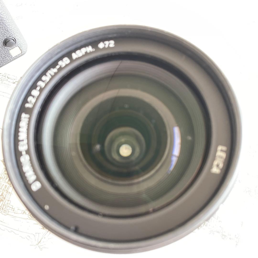 パナソニックLUMIXDMC-L1