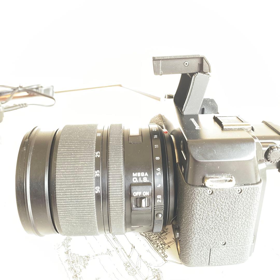 パナソニックLUMIXDMC-L1