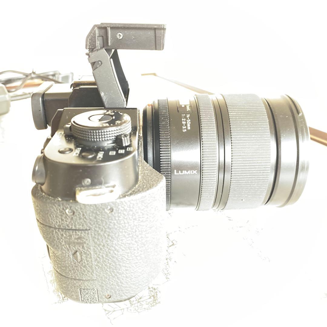 パナソニックLUMIXDMC-L1