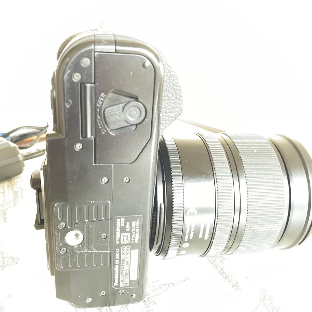 パナソニックLUMIXDMC-L1