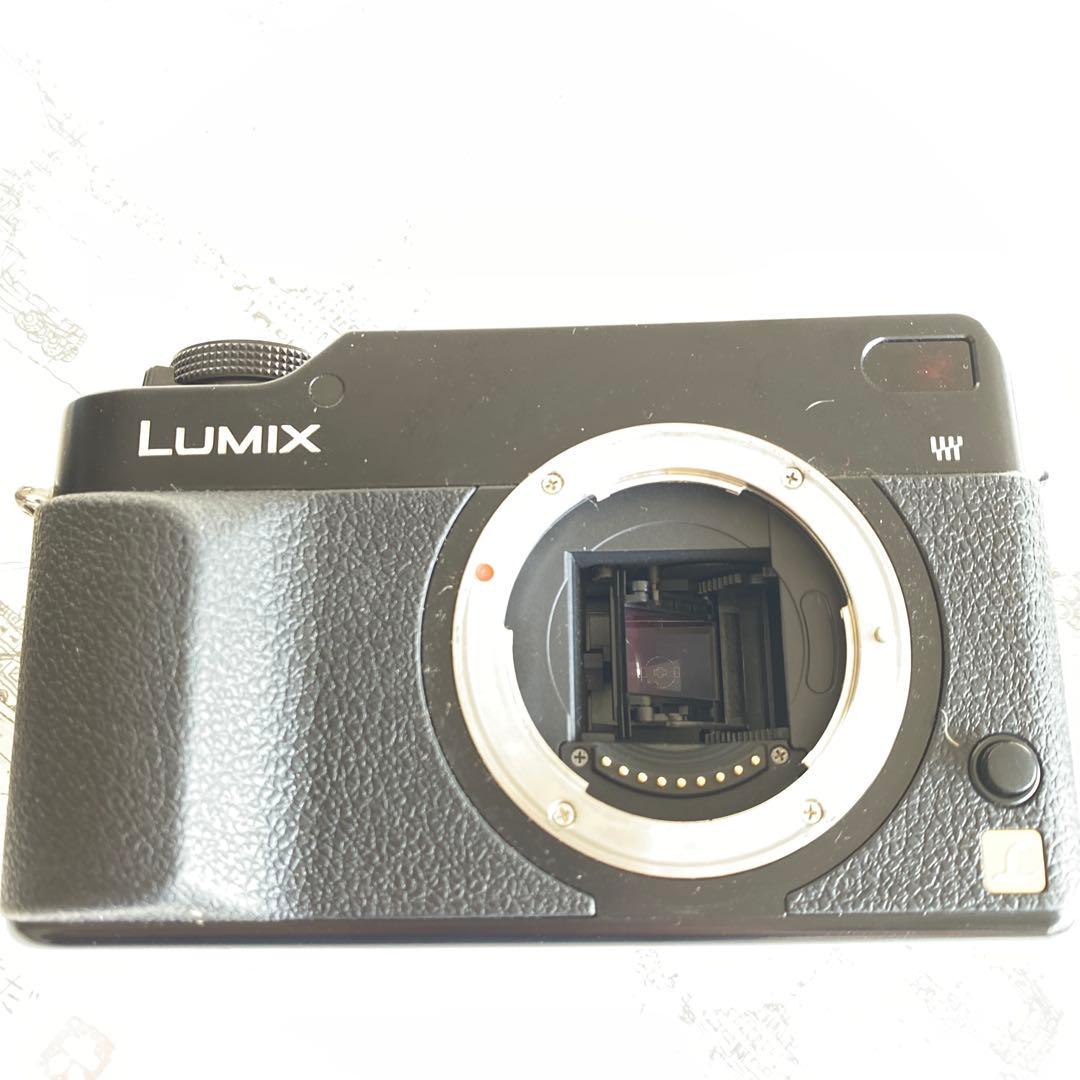 パナソニックLUMIXDMC-L1