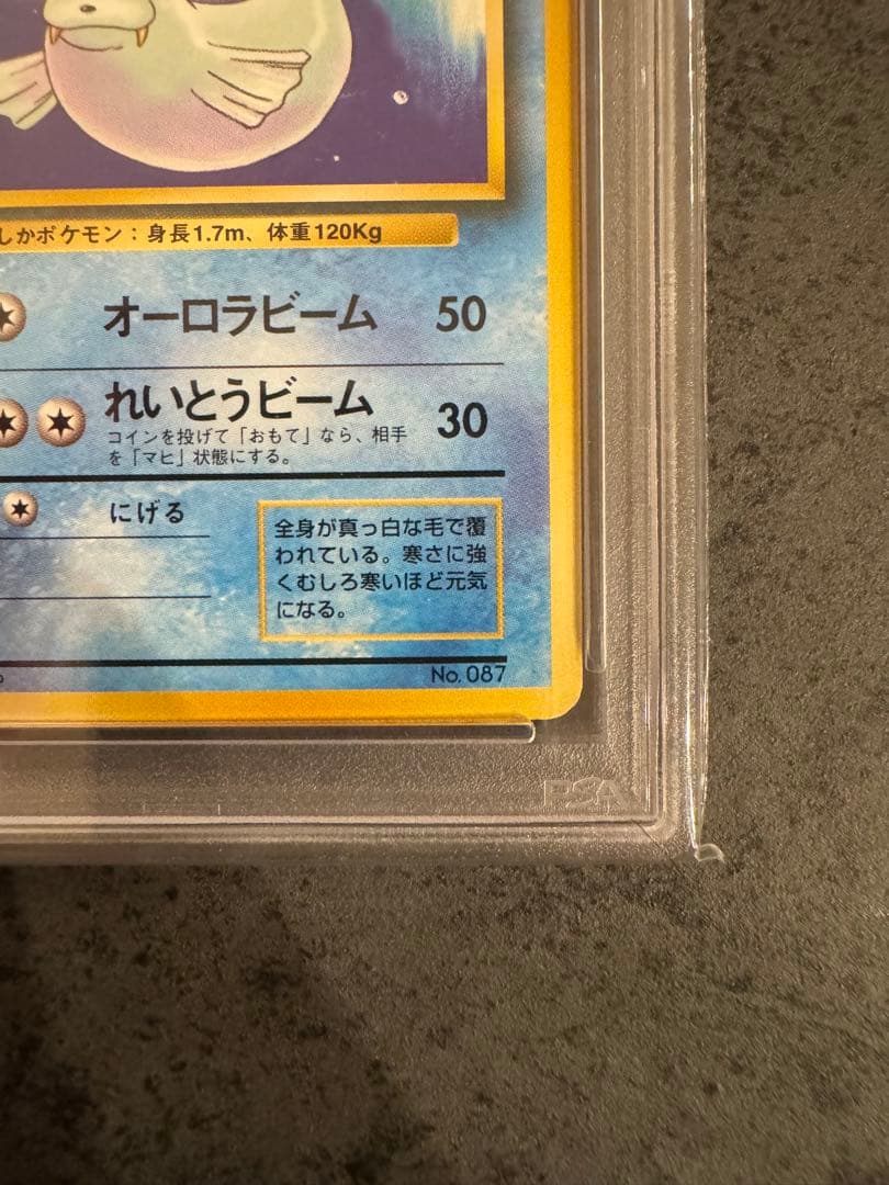 【PSA8 初版】ジュゴン ポケモンカード 旧裏 初版 マークなし