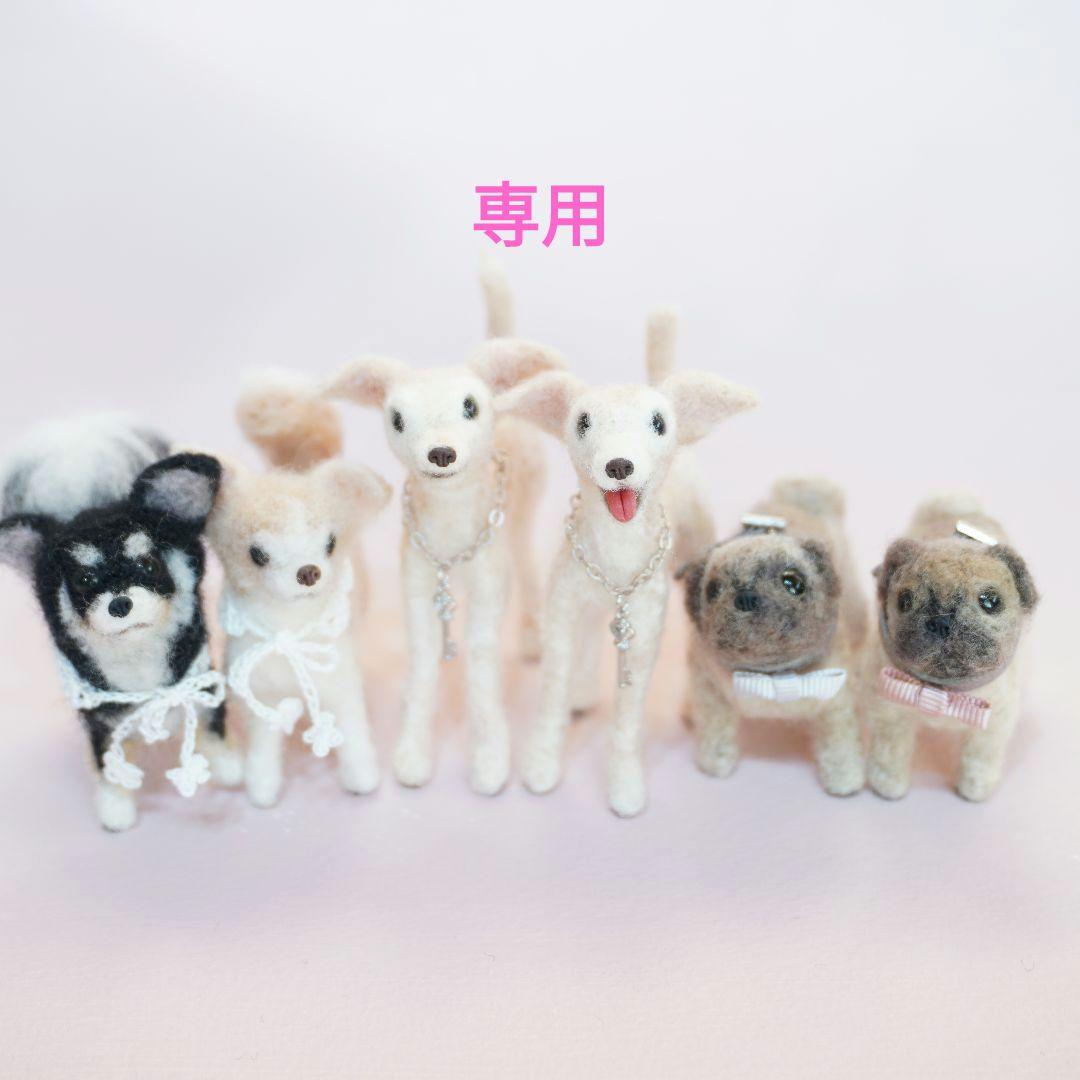 ★専用★　イタグレ　パグ　チワワ　セット