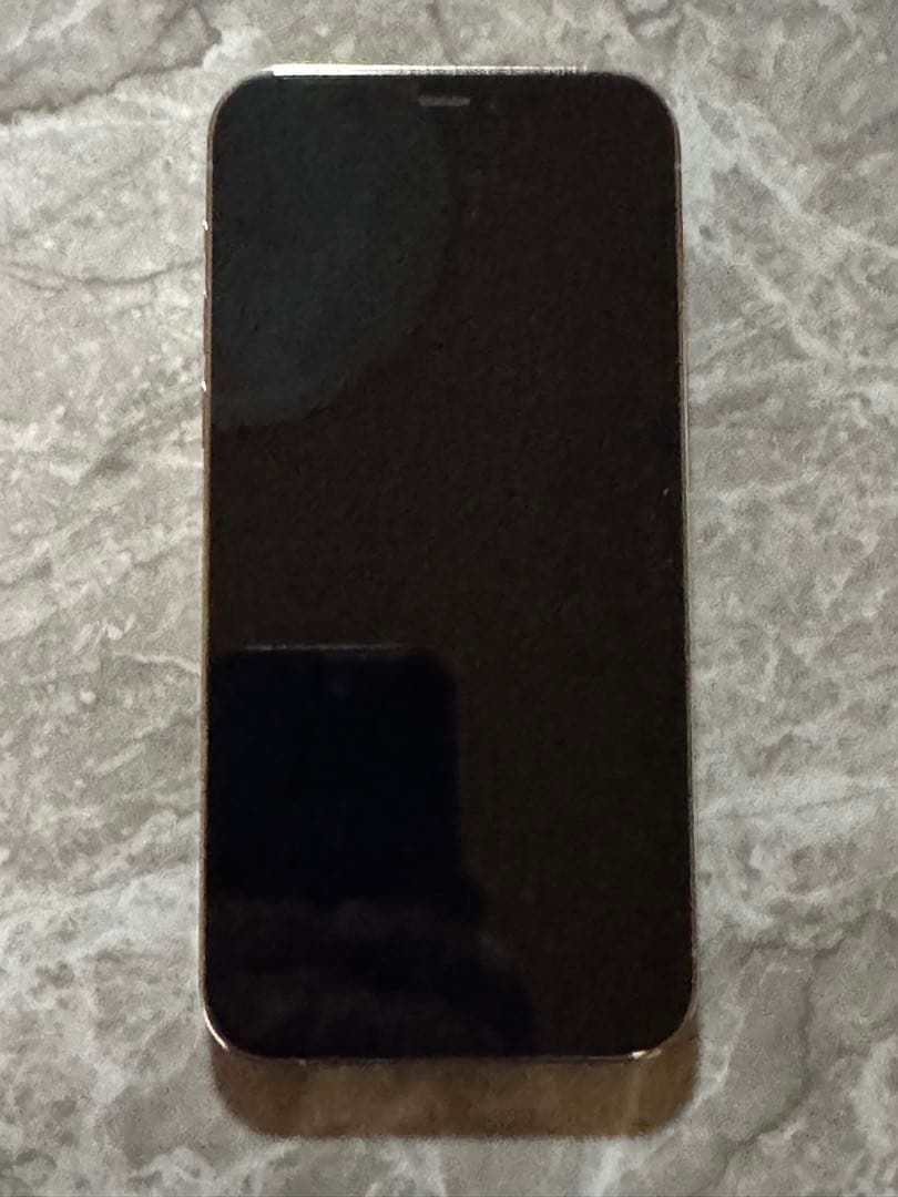 Apple iPhone 12 Pro 本体