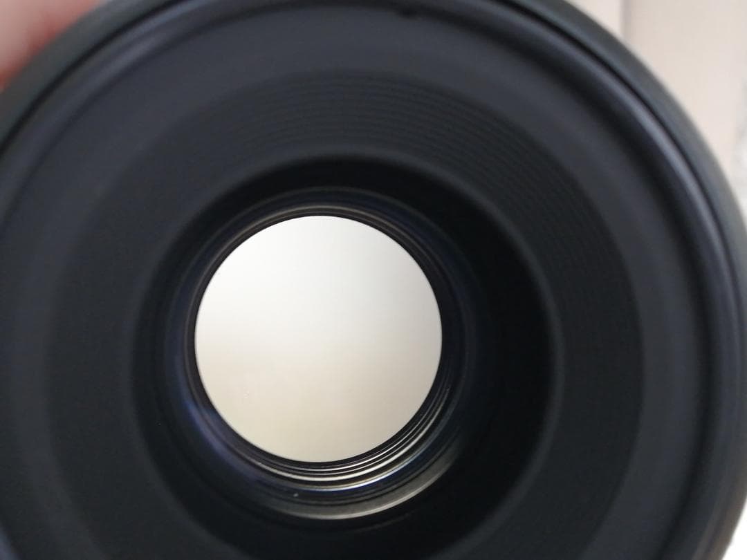 レンズ(単焦点) SMC Pentax-FA 100mm F2.8 Macro #7374