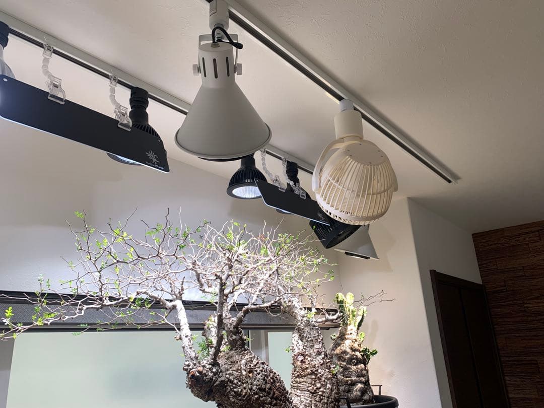 UZUKAZE 小型レールファン　白