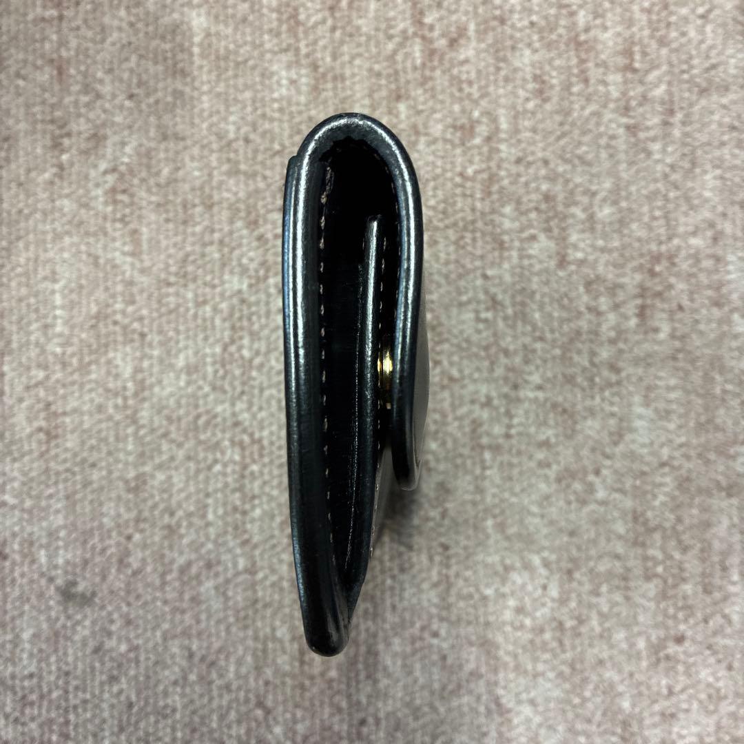 ワイルドスワンズ タング サドル ブラック