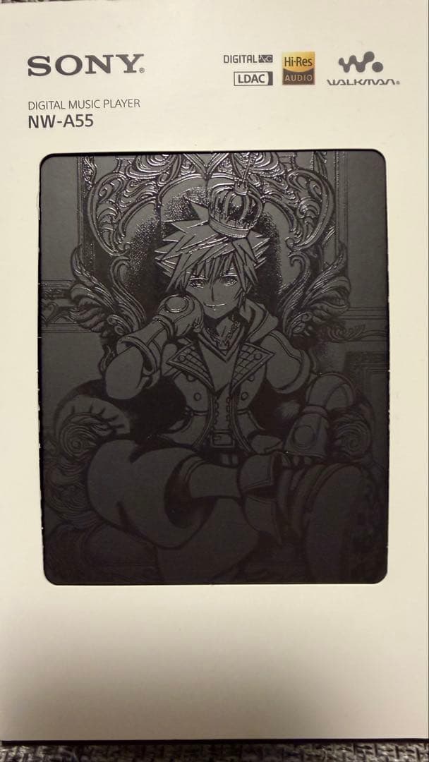 Sony NW-A55 デジタルオーディオプレーヤー