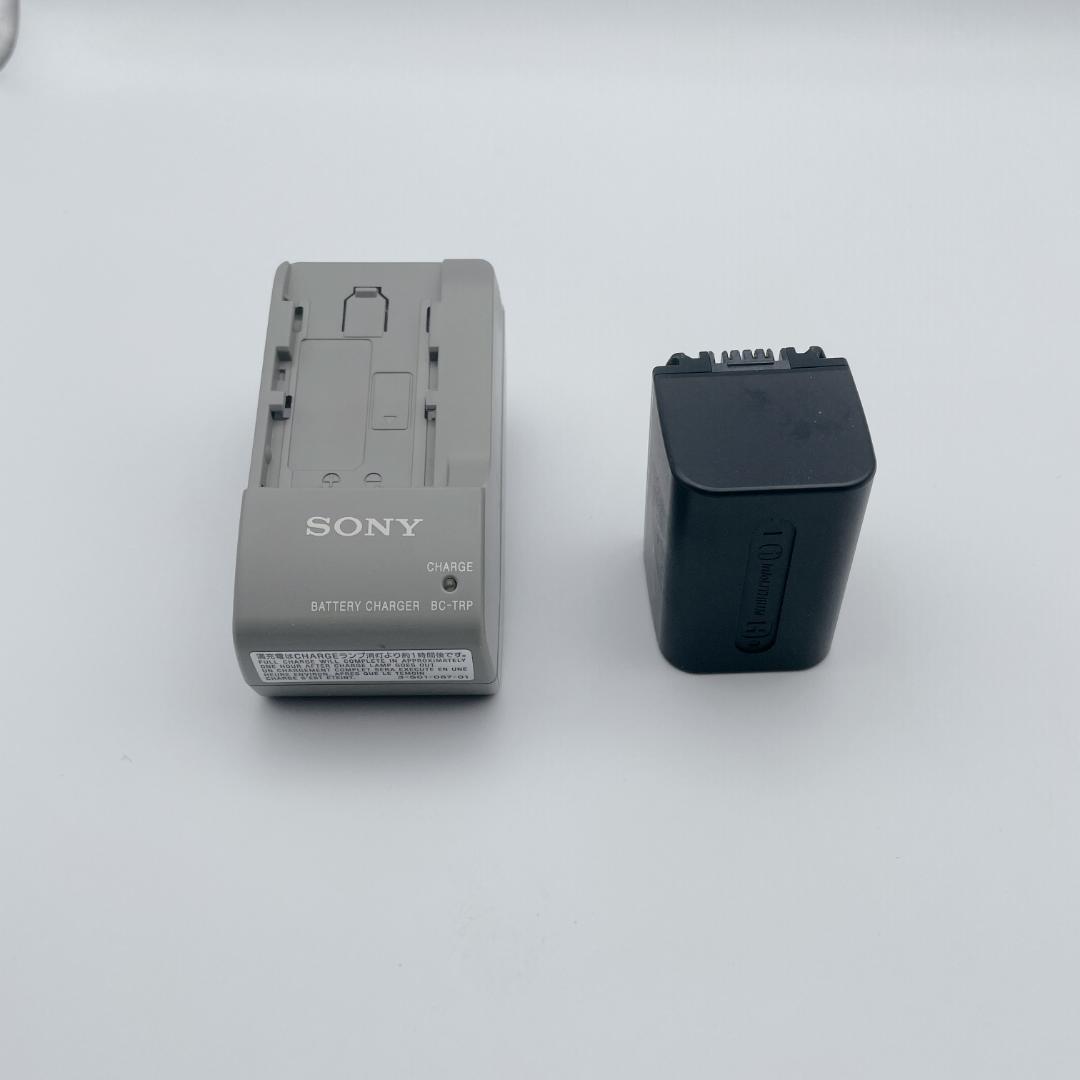 【概ね美品】SONY Handycam HDR-SR7 60GB HDD