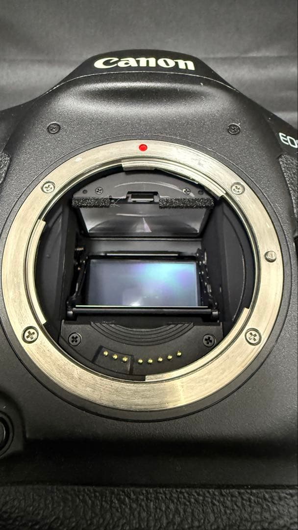 専用です！キャノン　Canon EOS 1DX メーカーオーバーホール済み！