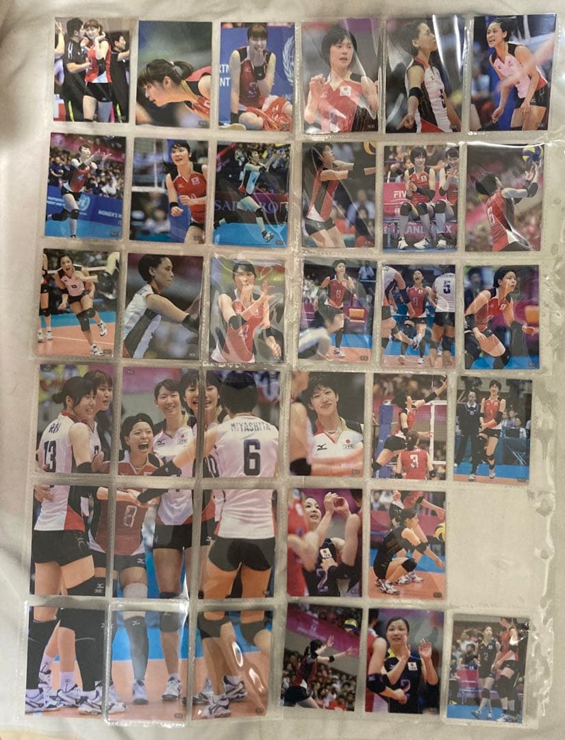 火の鳥NIPPON トレーディングカード 86枚 ＋ バインダー